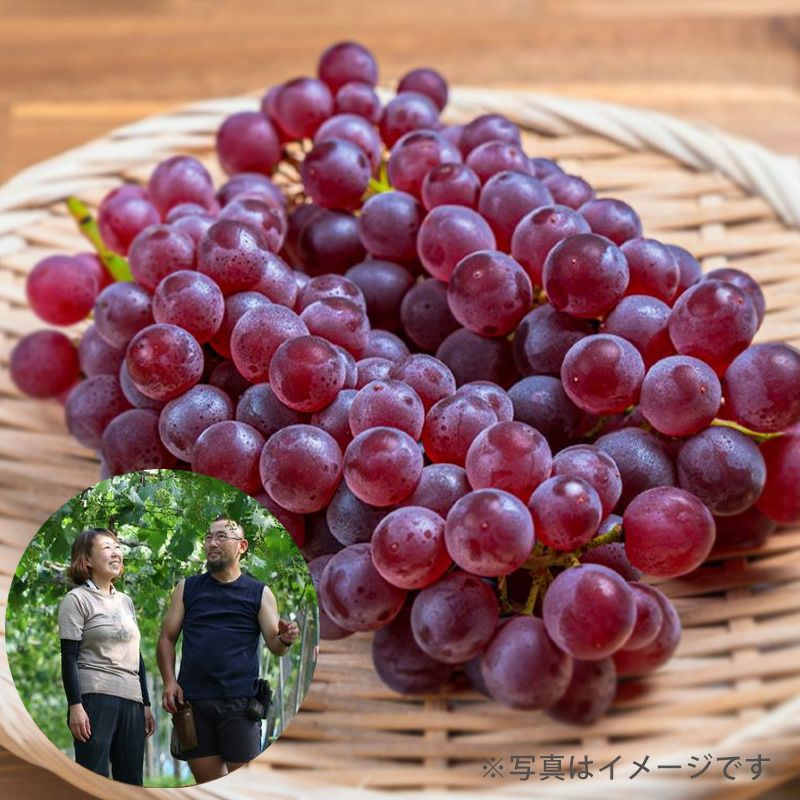 大野さんのデラウェア_イメージ1