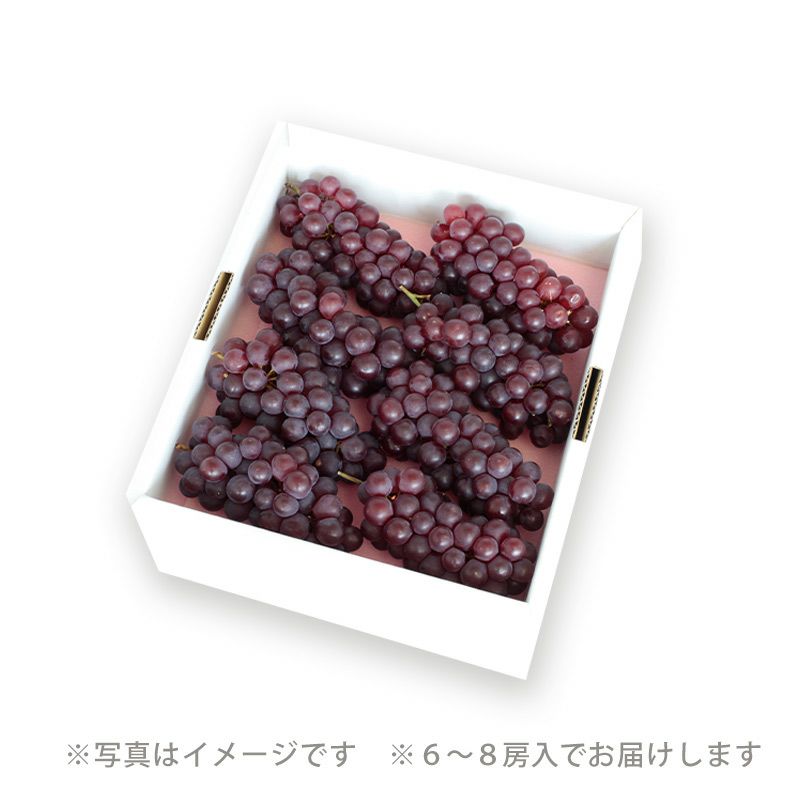 大野さんのデラウェア_パッケージダミー