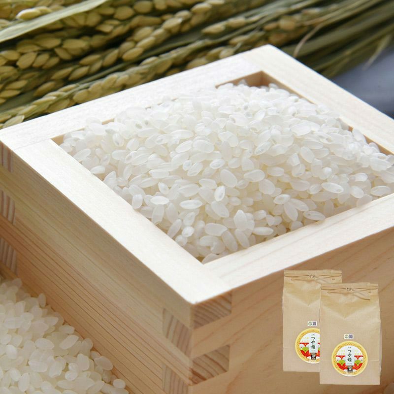 環境配慮米 つや姫 10kg （5kg×2）イメージ